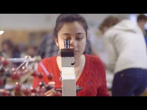 Earth Sciences at Cambridge