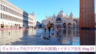ヴェネツィアのアクアアルタ(高潮) / イタリア在住 Vlog.23