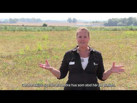 Uppåkra. Inför utgrävningarna av Hallen på höjden. Svensk undertext.