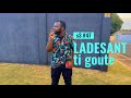 LADESANT S3 47 Ti Goute