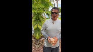 How To Tips for Blowing the Conch Shell