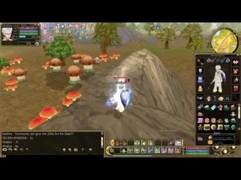 Insanity Flyff ~ My Main Character - Shallus (Seraph)