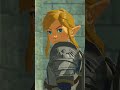 Link S Origin Story