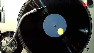 The Dark Side Of The Moog - Phantom Heart Brother Part IV