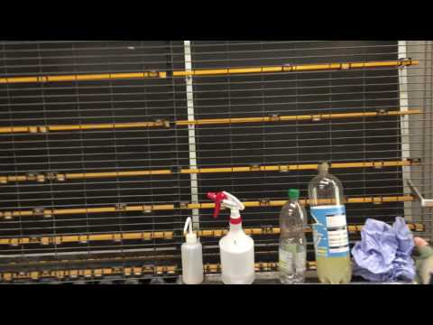 Padiham Glass Forel Line Part 2