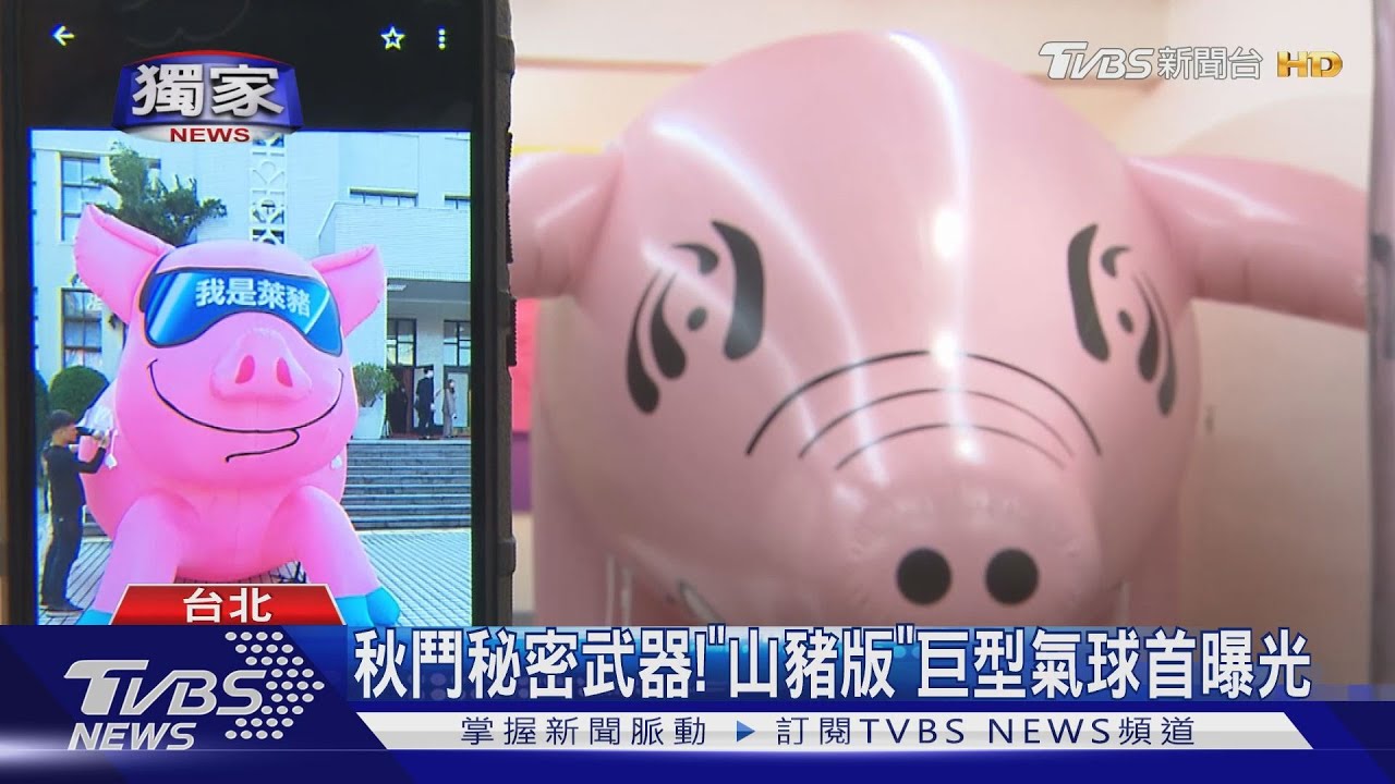 秋鬥秘密武器! 「山豬版」巨型氣球首曝光