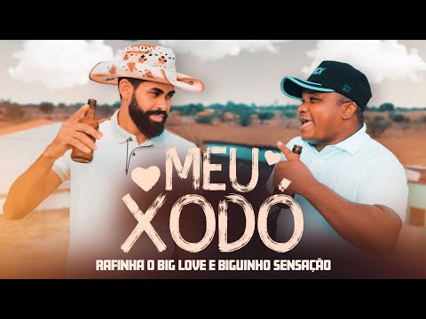 MEU XODÓ - Rafinha o Big Love e Biguinho Sensação (CLIPE OFICIAL)