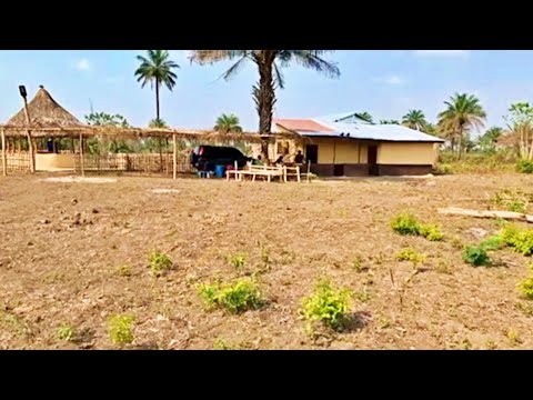 Welcome To Triple-A Healthy Harvest Mixed Farm