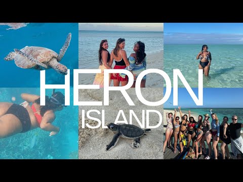 HERON ISLAND VLOG | oceanzen, turtle hatchlings + snorkelling on the great barrier reef 🏝️🐠🪸🐢🌞