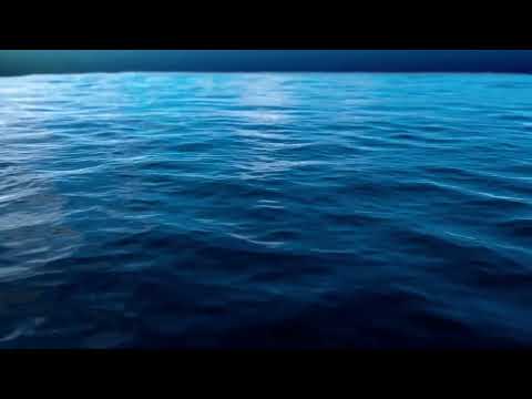 83 12B 05 TOM Vision Day At The Way Dec 05 1983 Isa; 1Co; Deu; Rom; Gen; Luk; Heb; Eph; Col;