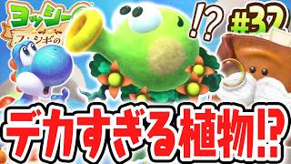 天空まで伸びるデカすぎる植物!?新たな章は世界一の巨木!?Switch2で最速実況Part32【ヨッシーとフカシギの図鑑】