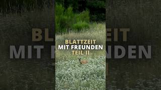 Blattzeit mit Freunden 🌿 Teil 2 von @huntingtommes4713⁩