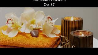 Download lagu Dhia Eddine Ben Youssef- 'Harmonics Released'- Op. 37 mp3