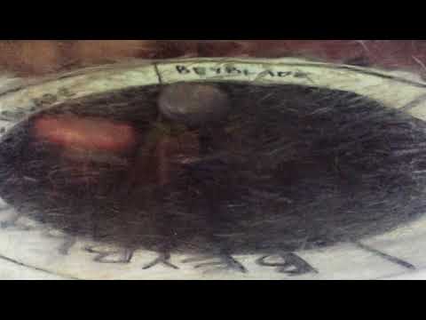 beyblade burst battle storm spriggan vs wild wyvern