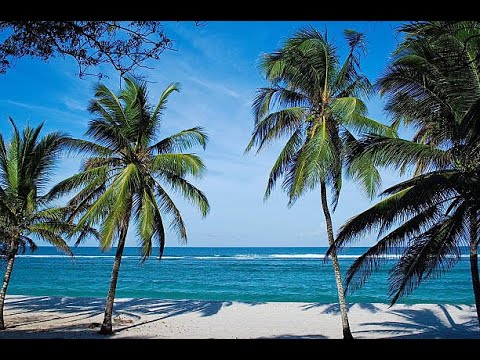 TWENDE MOMBASA DAY 1|| #V.DIARY|| EP73