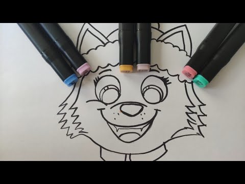 EVEREST PAW PATROL PAT'PATROUILLE 🖍️🖍️