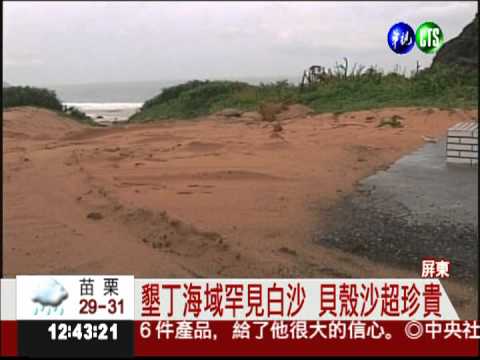 恆春搶沙包擋水 竟挖珍貴貝殼沙