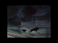 Lady And The Tramp 1955 Saving Rescuing Tramp