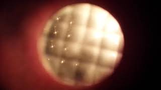 Kingston Wall   -    Alt-land-is thru' kaleidoscope