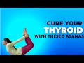 Yoga For Thyroid 5 Effective Asanas To Cure Thyroid Hormone Imbalance Thyroid YogaForThyroid