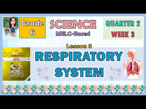 SCIENCE 6 QUARTER 2 WEEK 3 LESSON 3 | RESPIRATORY SYSTEM