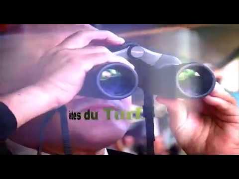 LES SPÉCIALISTES DU TURF - 13th Meeting 2018 Season