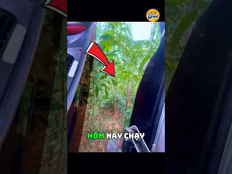 Xe hôm nay có cả cửa sổ trời #thatbatngovn