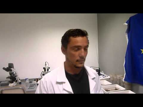 LIFE+ Operación CO2 - Interview with Jaime Olaizola, fungi specialist at ID Forest