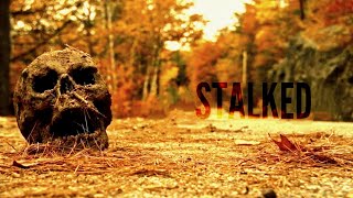 THE STALKED 2023 movie explained in hindi l short horror