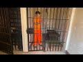 I Went To Jail