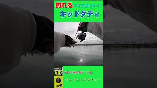 【キッドダディ】やっぱり釣れる！マイクロスプーンでニジマスGET！