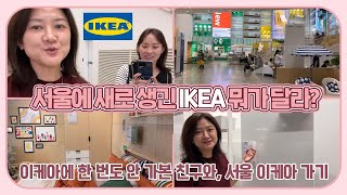 오늘은 장 보는 날! 친구와 함께 이케아에 다녀왔어요 (새로 생긴 이케아는 뭐가 다를까) 마이맘 TV