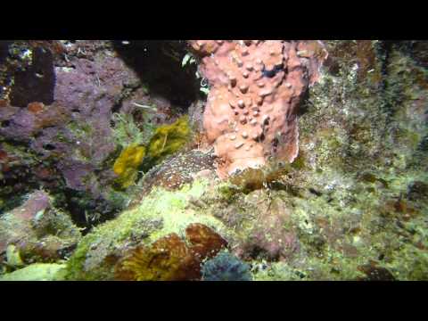 Philippinen 2014: Alona Beach, Alona Beach,Panglao,Bohol,Philippinen