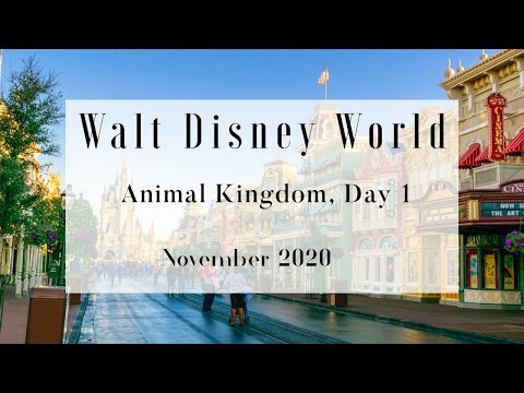 Walt Disney World Trip I November 2020 I Trip Vlog I Day 1 I Animal Kingdom I Christmas Time