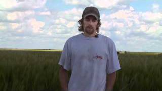 preview picture of video 'AVAIL Phosphorus Fertilizer Enhancer Testimonial: Patrick Kunz, Canada'