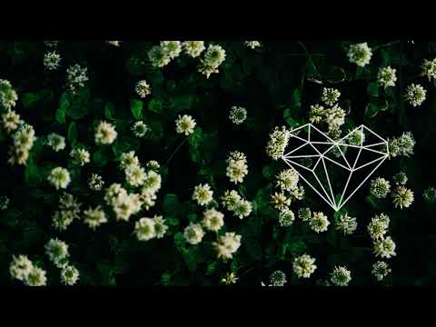 Bodaishin - Love Story (Original Mix) [Organic House 2022 / Do Not Sit Recordings]