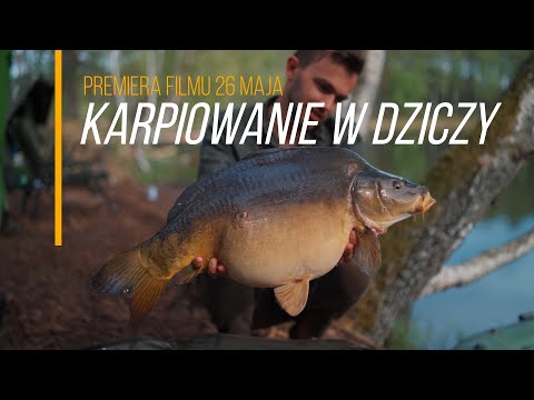 Karpiowanie w dziczy - trailer