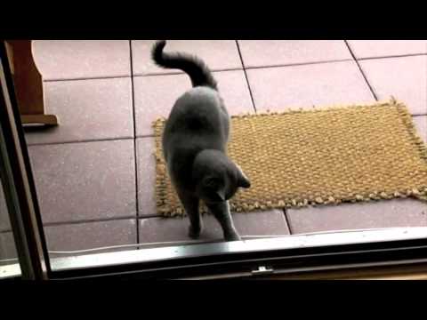 Survival OF THE FITTEST (2)