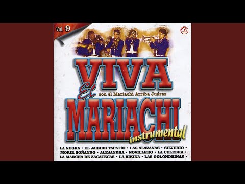 Alejandra (Instrumental)