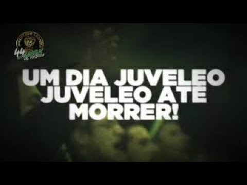 JUVE LEO  - 44 ANOS SEMPRE A COMBATER