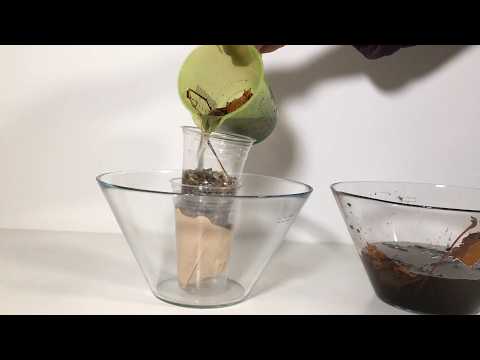 Wasserfilter selbst bauen – Wie wird das Wasser wieder sauber?