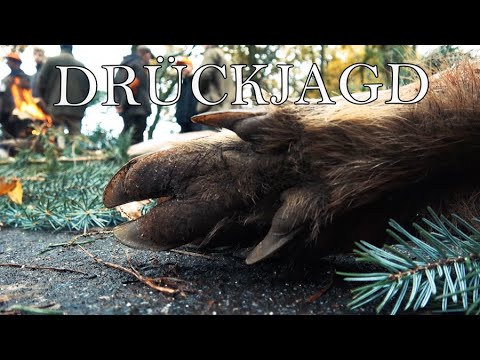 Drive Hunt | Sauen und Damwild Drückjagd bei - Jagdkrone