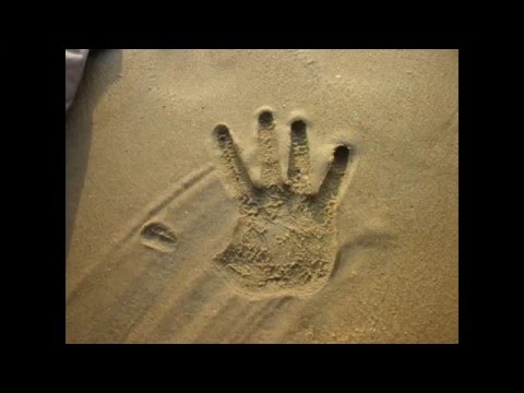 Nina Kraljić performing Linger (Cranberries)