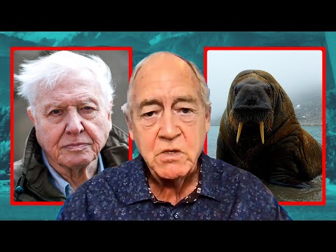 Greenpeace’s Ex-President Reacts to Comments by David Attenborough & the BBC