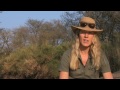 Becoming A Safari Guide A Career In Progress With EcoTraining