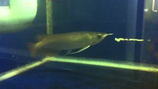 IMG 4574