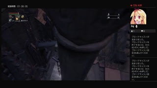 bloodborne　RTAの練習