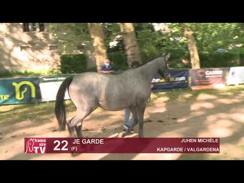 Sprinter Sacré Show 2021 : Lot 22 - Je Garde