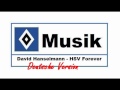 HSV Musik : # 73 » David Hanselmann - HSV ...