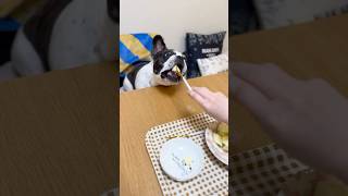フレブルが久しぶりに食べる事ができて泣けました😭